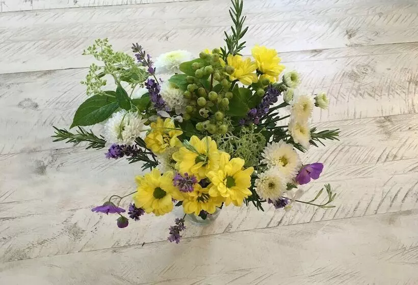 צימר Treghan Luxury Lodge