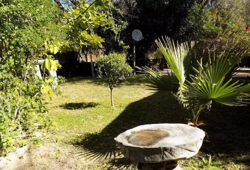 هتل Jump Street Chalets