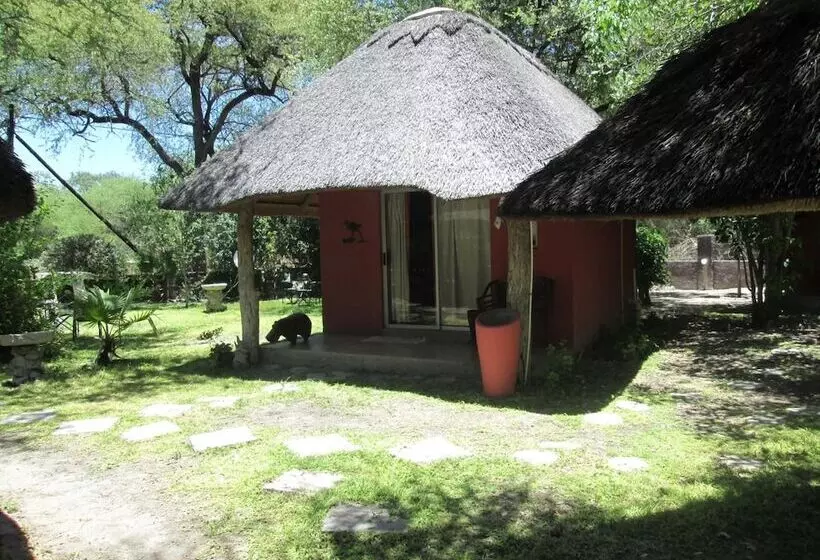 هتل Jump Street Chalets