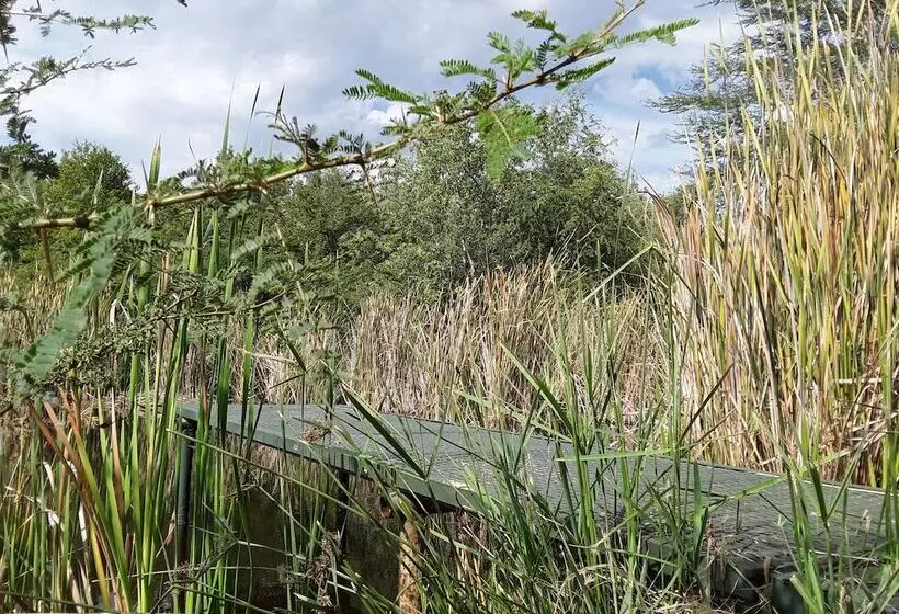 Hotel The Bush Pub & Inn