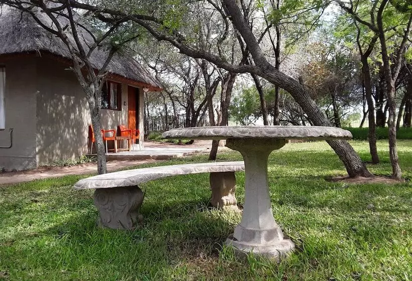 Hotel The Bush Pub & Inn