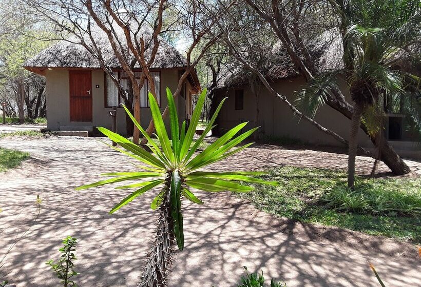 ホテル The Bush Pub & Inn