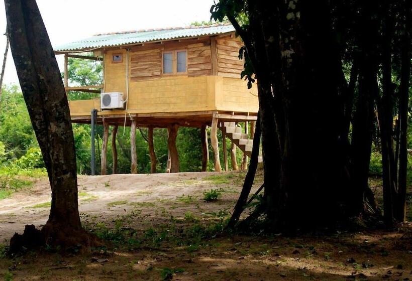 פנסיון Eagle S Wings Guest House