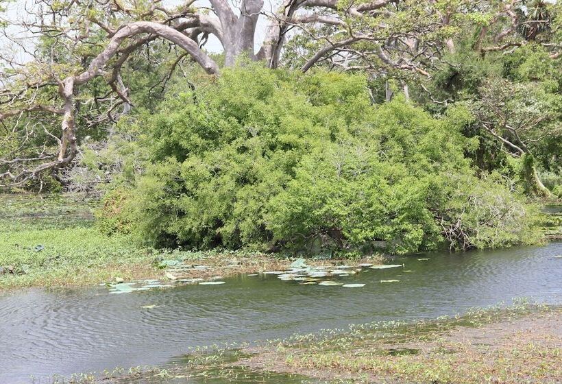 פנסיון Eagle S Wings Guest House