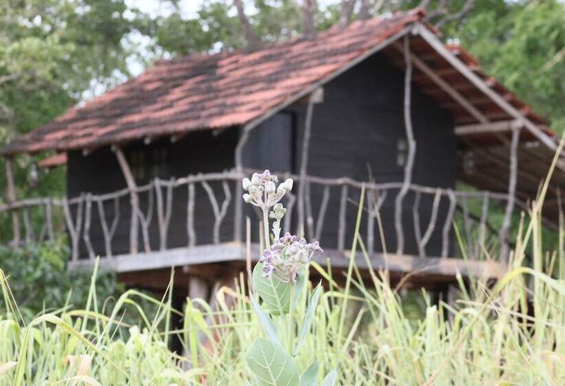 פנסיון Eagle S Wings Guest House