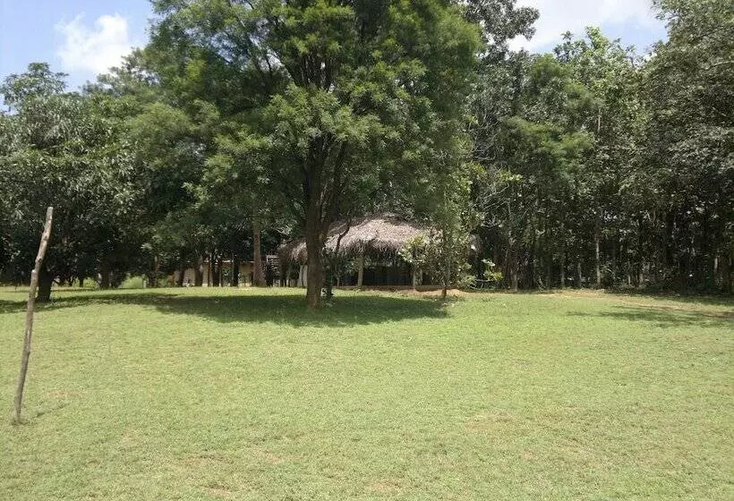 膳宿费 Eagle S Wings Guest House