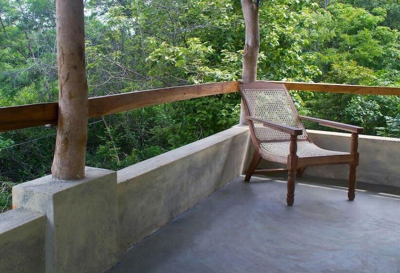 פנסיון Eagle S Wings Guest House