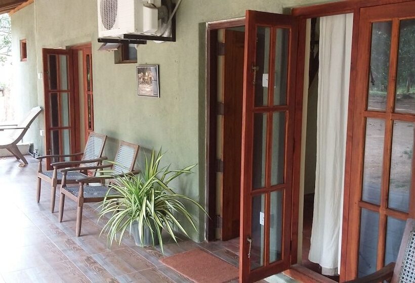 פנסיון Eagle S Wings Guest House