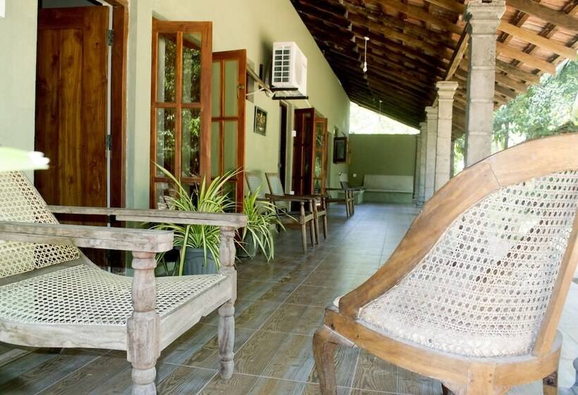 פנסיון Eagle S Wings Guest House