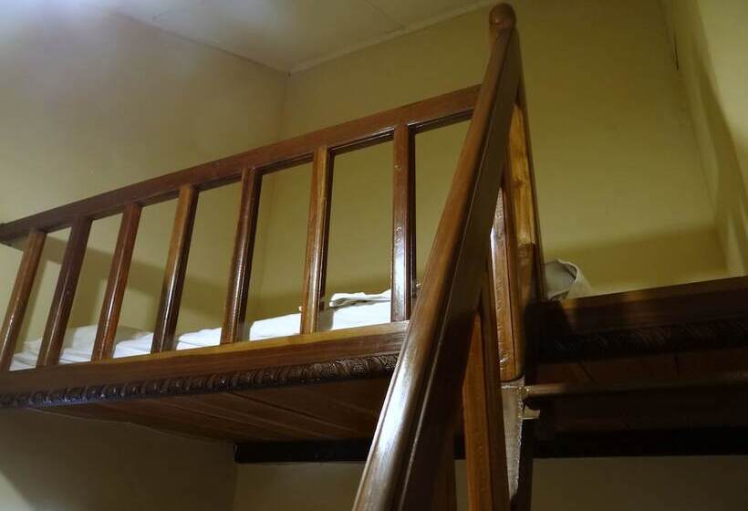 פנסיון Eagle S Wings Guest House