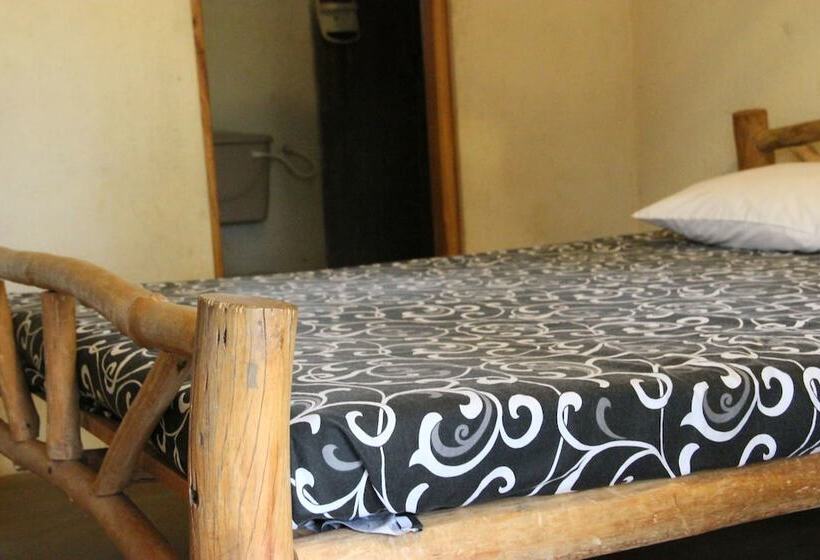 פנסיון Eagle S Wings Guest House