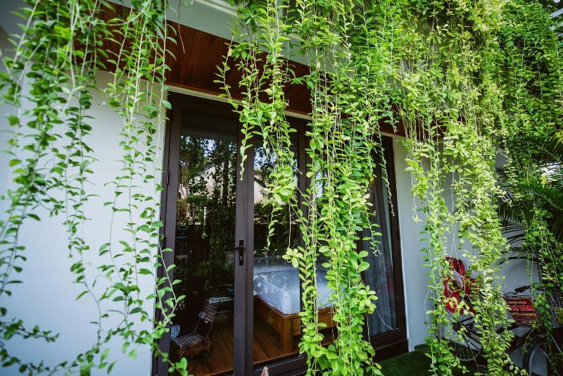 پانسیون Tue Tam Villa