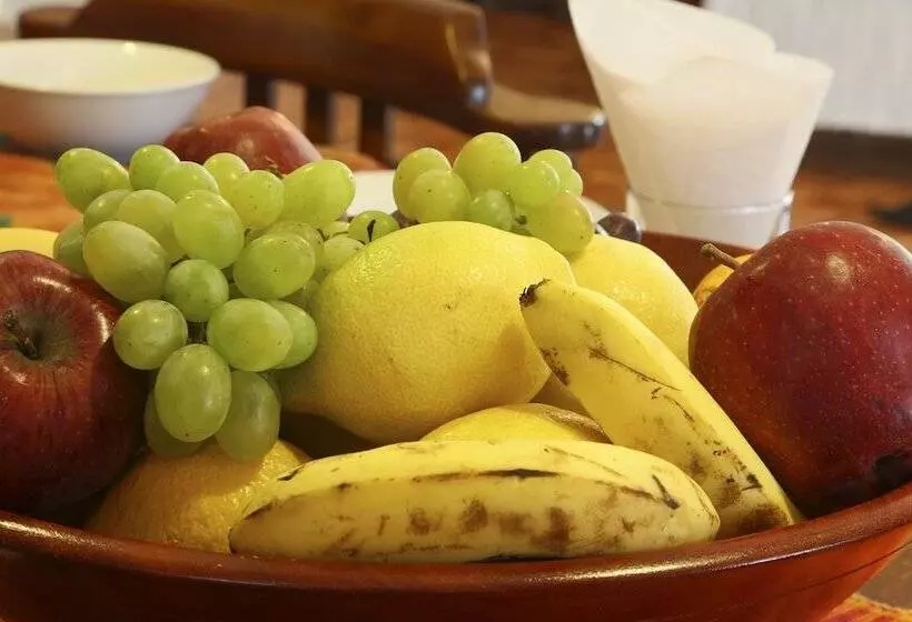 Bed and Breakfast Sunbird Guest House