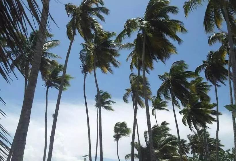 هتل El Bohio Residences