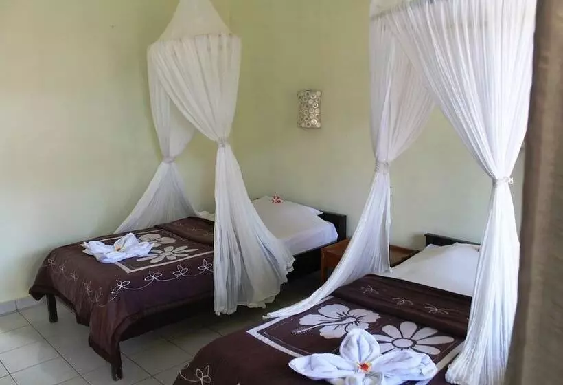 בית מלון כפרי Ray Beach Inn