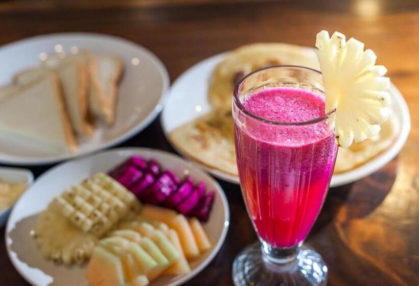 膳宿费 Maha Lokha Balangan