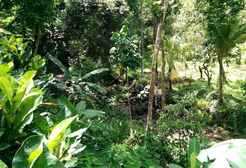 پانسیون River Side House