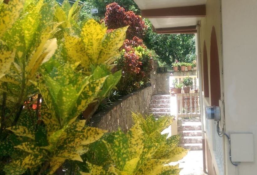 پانسیون River Side House