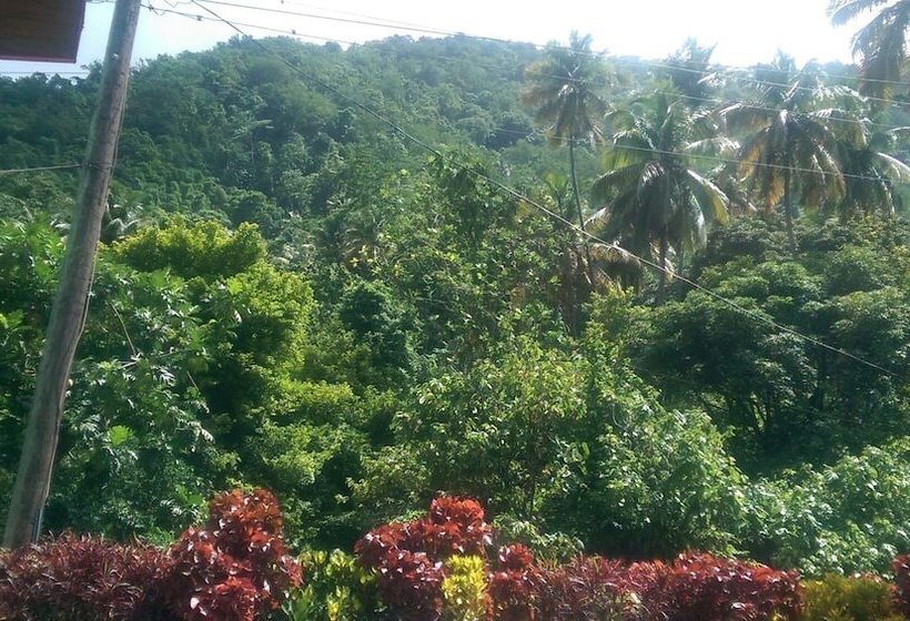 پانسیون River Side House