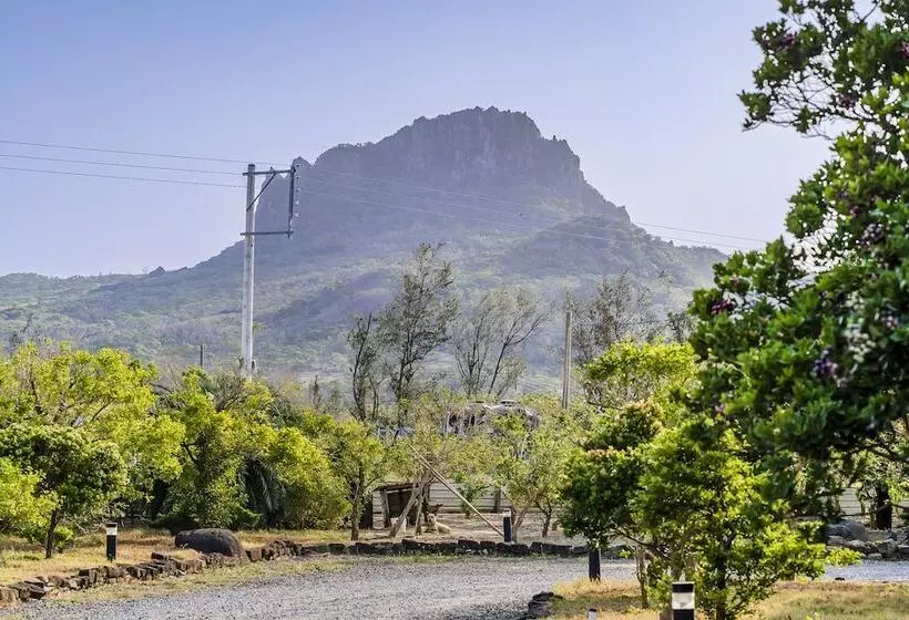 هاستل Southern Sun Homestay North