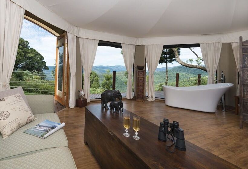 住宿加早餐  Clouds On Beechmont