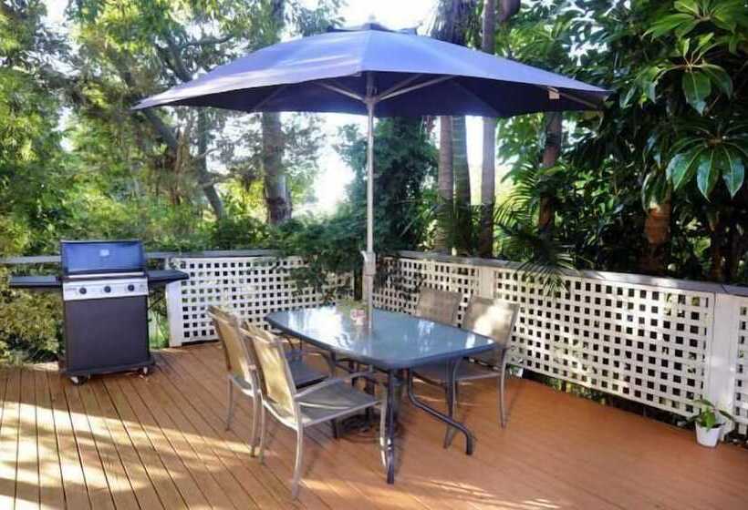 住宿加早餐  Clouds On Beechmont