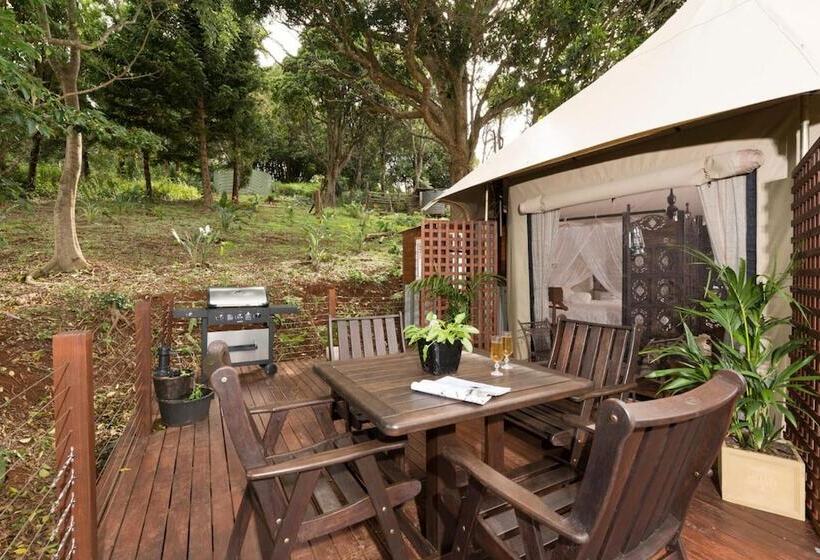 住宿加早餐  Clouds On Beechmont