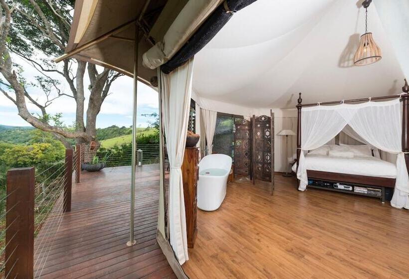 住宿加早餐  Clouds On Beechmont