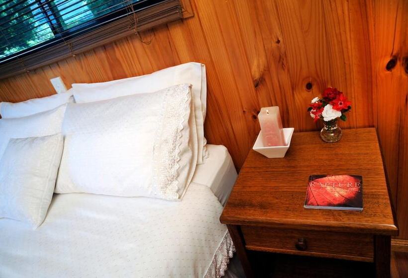 住宿加早餐  Clouds On Beechmont