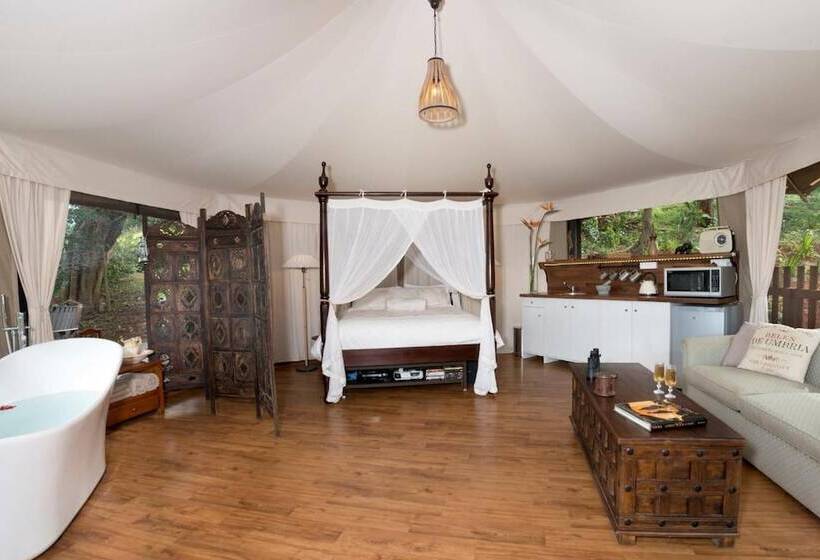 住宿加早餐  Clouds On Beechmont