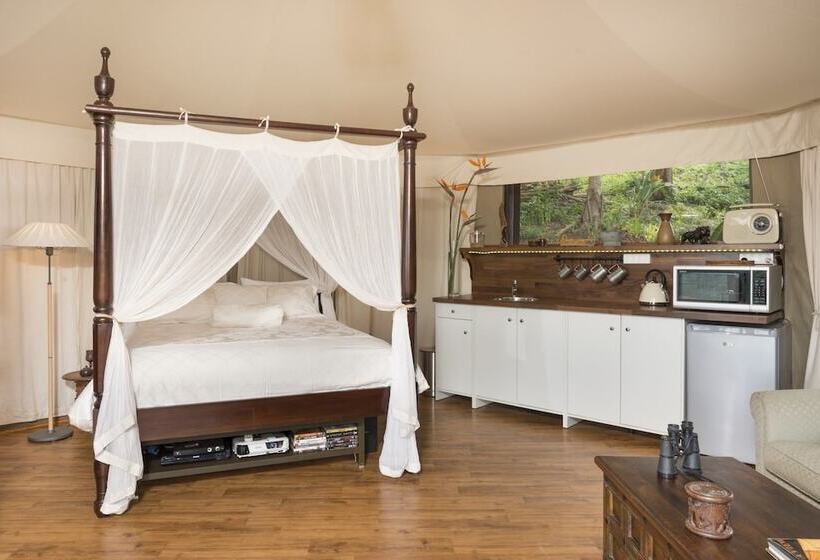 住宿加早餐  Clouds On Beechmont