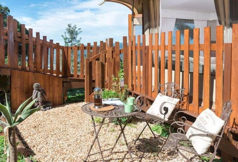 住宿加早餐  Clouds On Beechmont