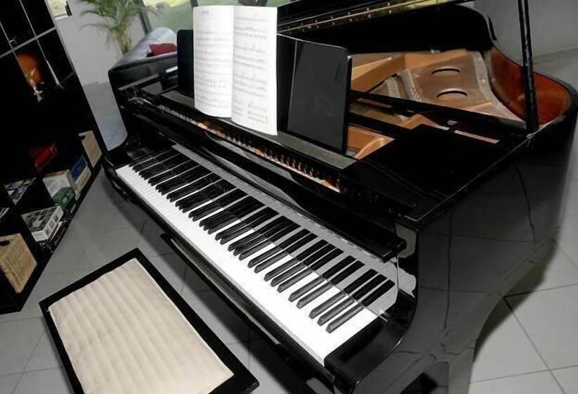 住宿加早餐  Clouds On Beechmont