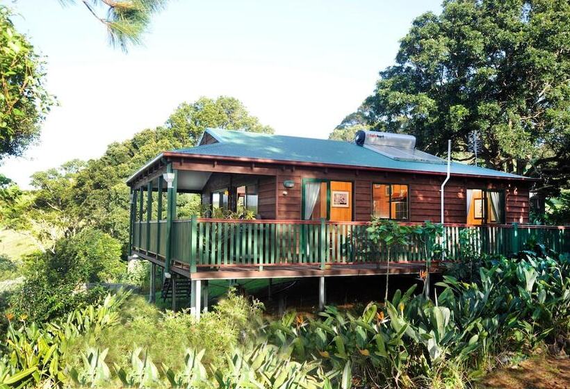 住宿加早餐  Clouds On Beechmont