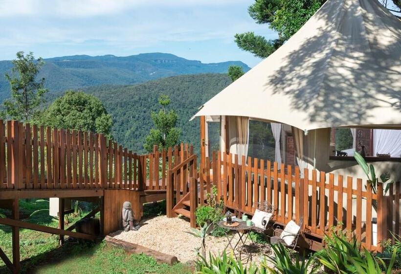 住宿加早餐  Clouds On Beechmont