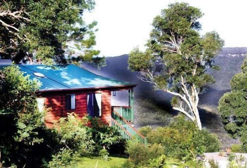 住宿加早餐  Clouds On Beechmont