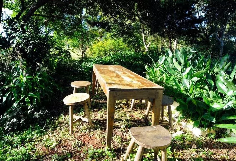 Bed and Breakfast Clouds On Beechmont