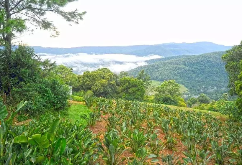 Bed and Breakfast Clouds On Beechmont