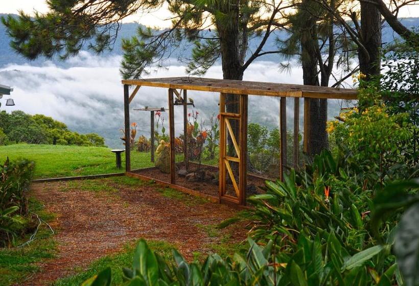 住宿加早餐  Clouds On Beechmont