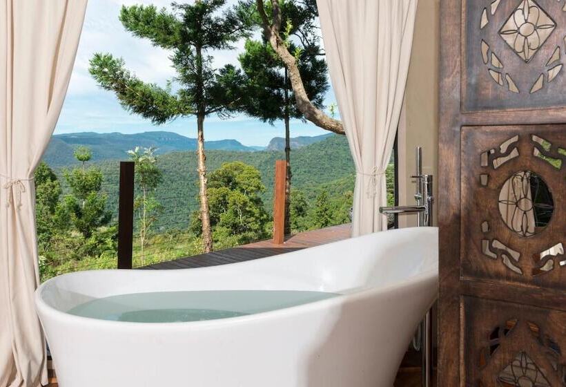 住宿加早餐  Clouds On Beechmont