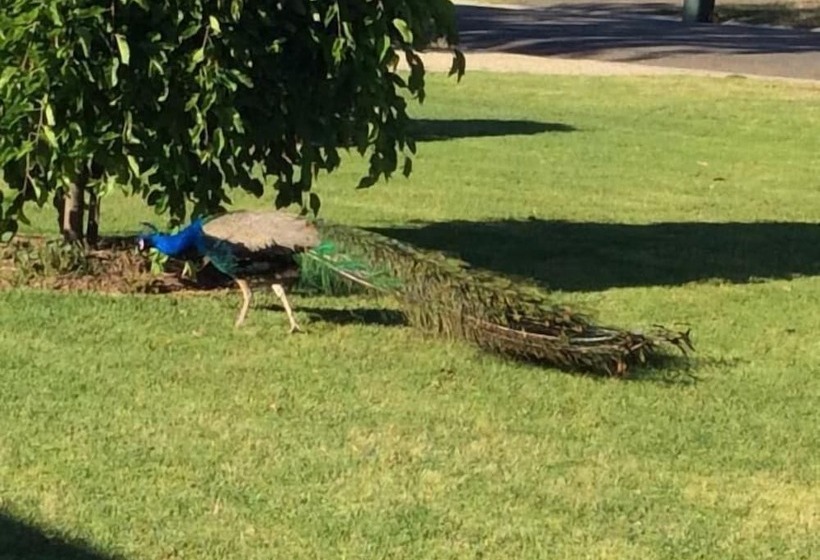 Greenways Holiday Units