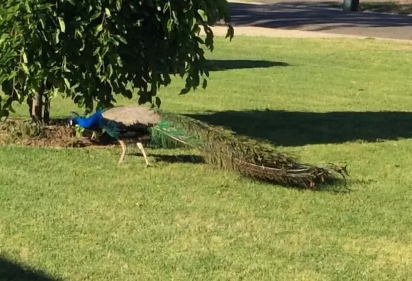 Greenways Holiday Units