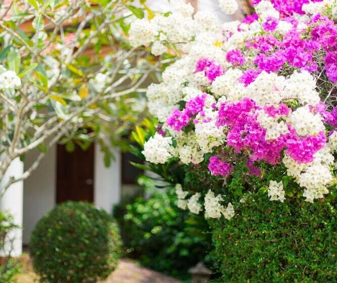 ホテル Armonia Village Resort And Spa