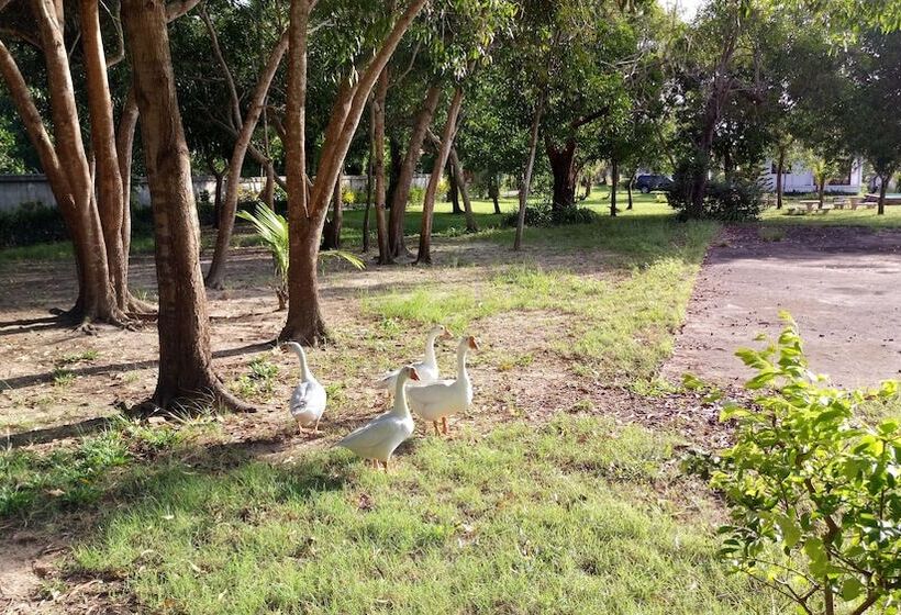 ホテル Armonia Village Resort And Spa