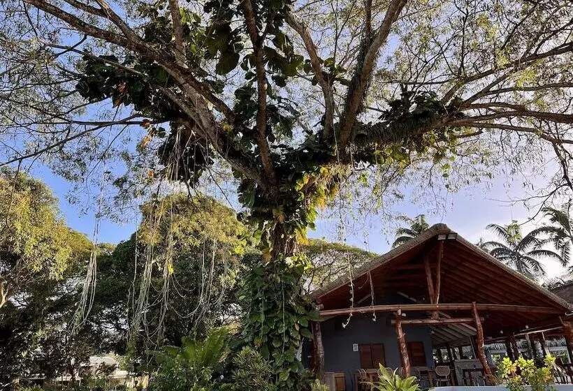 هتل Mg Cocomo Resort Vanuatu