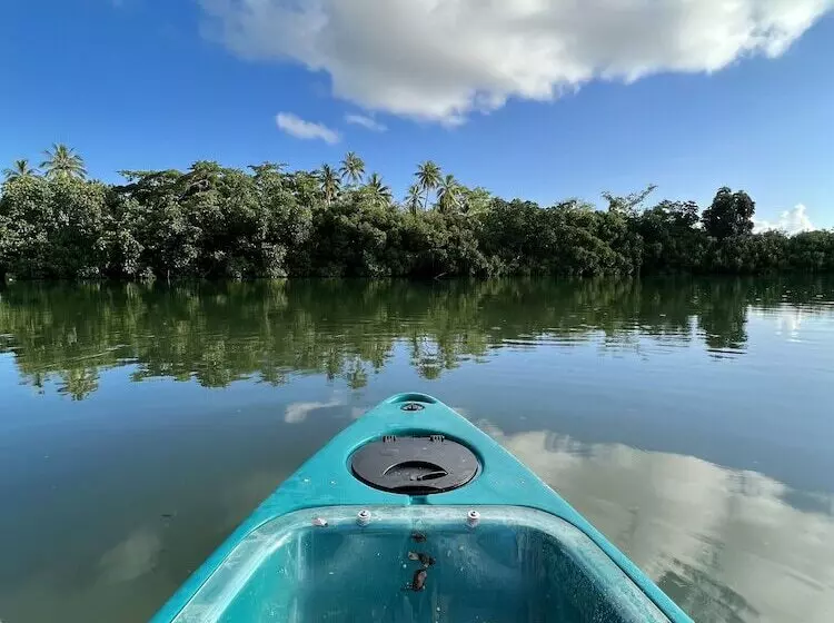 هتل Mg Cocomo Resort Vanuatu