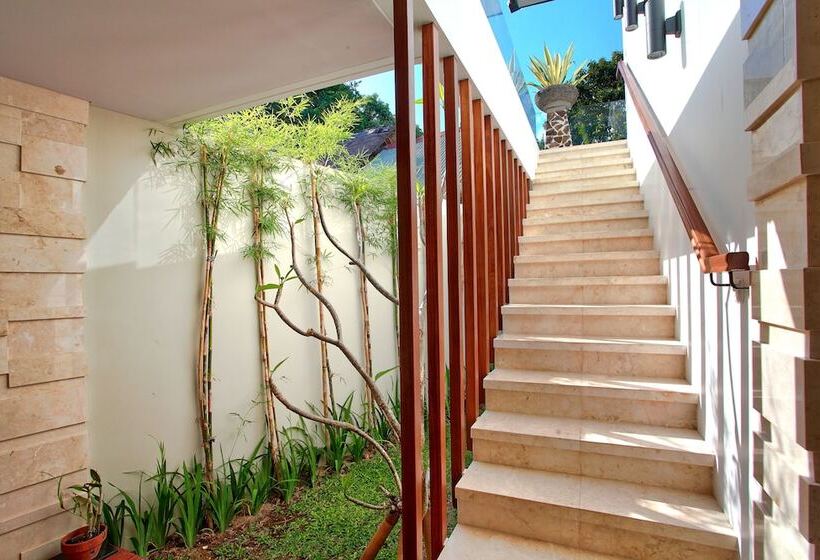 Indi Villas   The Bhadra