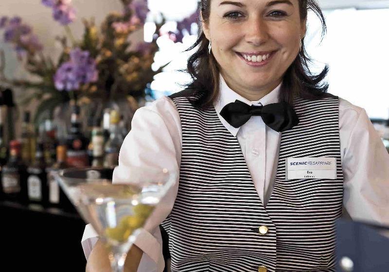 Faircruise Business Hotelship Frankfurt