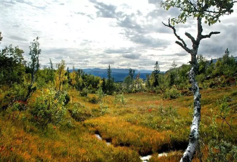 Hotel Buustamons Fjällgård