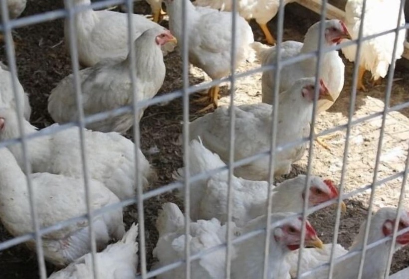 ホテル Casa Rural Outeiro